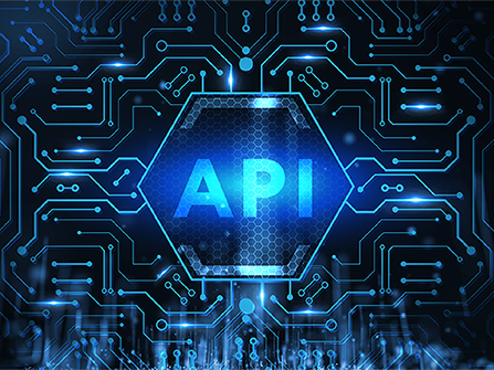 API Integration & System Connectivity